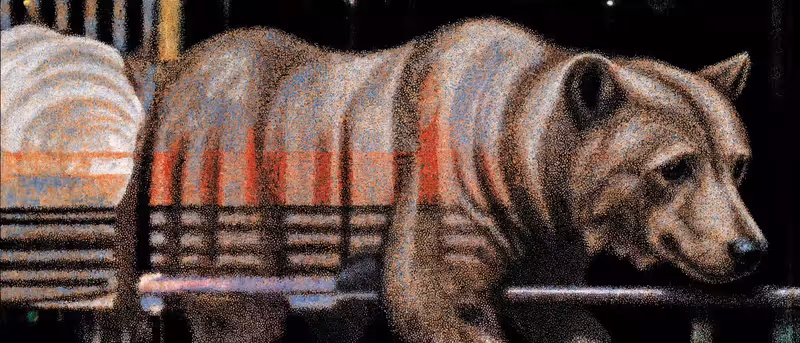 Untitled (Bear)