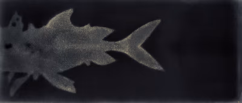 One Fish, Two Fish No. 14 (Artifishal, Golden Fish Autograph)