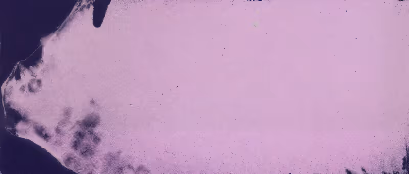 One Fish, Two Fish No. 19 (Drip Error)