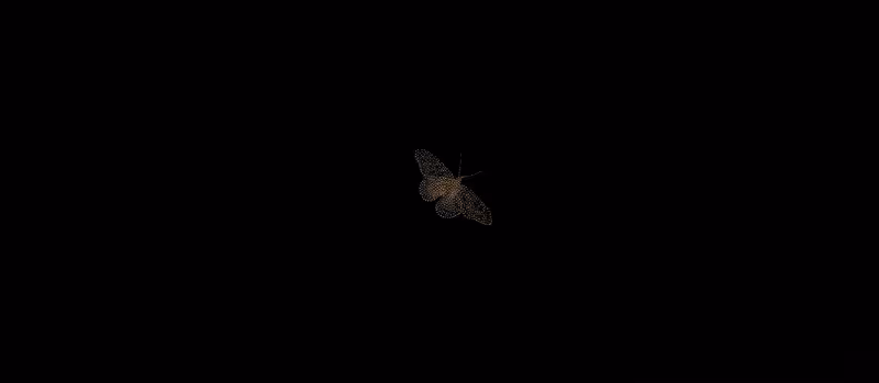 Moth
