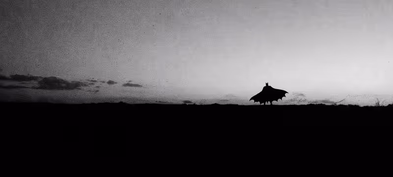Bat Man